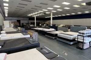 Knights Mattress & Furniture: Style for Your Home | Organic & Natural Mattress Buyer’s Guide: Non-Toxic Sleep Solutions