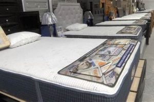 Shop American Freight Furniture & Mattress in Melbourne, FL! Organic & Natural Mattress Buyer’s Guide: Non-Toxic Sleep Solutions Shop American Freight Furniture & Mattress in Melbourne, FL! | Organic & Natural Mattress Buyer’s Guide: Non-Toxic Sleep Solutions