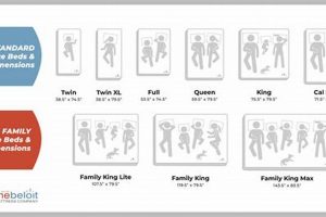 Best Family Size Mattress [Guide] for Sleepy Families! | Organic & Natural Mattress Buyer’s Guide: Non-Toxic Sleep Solutions