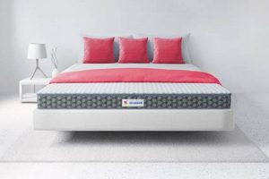 What Affects Queen Size Mattress Cost? [Guide] | Organic & Natural Mattress Buyer’s Guide: Non-Toxic Sleep Solutions