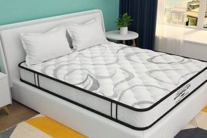 Budget-Friendly: Find Cheap Foam for Your Mattress Today! Organic & Natural Mattress Buyer’s Guide: Non-Toxic Sleep Solutions Budget-Friendly: Find Cheap Foam for Your Mattress Today! | Organic & Natural Mattress Buyer’s Guide: Non-Toxic Sleep Solutions