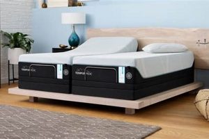 Best Queen Size Tempur-Pedic Mattress: Comfort & Value Organic & Natural Mattress Buyer’s Guide: Non-Toxic Sleep Solutions Best Queen Size Tempur-Pedic Mattress: Comfort & Value | Organic & Natural Mattress Buyer’s Guide: Non-Toxic Sleep Solutions