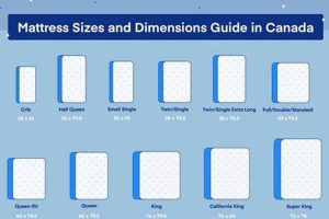 Canadian Queen Size Guide: Mattress Dimensions in Canada Organic & Natural Mattress Buyer’s Guide: Non-Toxic Sleep Solutions Canadian Queen Size Guide: Mattress Dimensions in Canada | Organic & Natural Mattress Buyer’s Guide: Non-Toxic Sleep Solutions