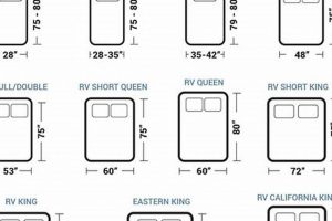 What's a Camper Queen Mattress Size? Guide + Tips Organic & Natural Mattress Buyer’s Guide: Non-Toxic Sleep Solutions What's a Camper Queen Mattress Size? Guide + Tips | Organic & Natural Mattress Buyer’s Guide: Non-Toxic Sleep Solutions