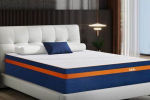 Wayfair Queen Size Mattress: [Prefix] & [Suffix] | Organic & Natural Mattress Buyer’s Guide: Non-Toxic Sleep Solutions