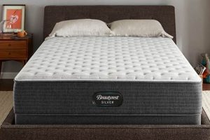 Top-Rated Full Size Mattress: Buyer's Guide & Reviews Safem Fabrication - Precision Engineering & Custom Manufacturing Solutions Top-Rated Full Size Mattress: Buyer's Guide & Reviews | Safem Fabrication - Precision Engineering & Custom Manufacturing Solutions