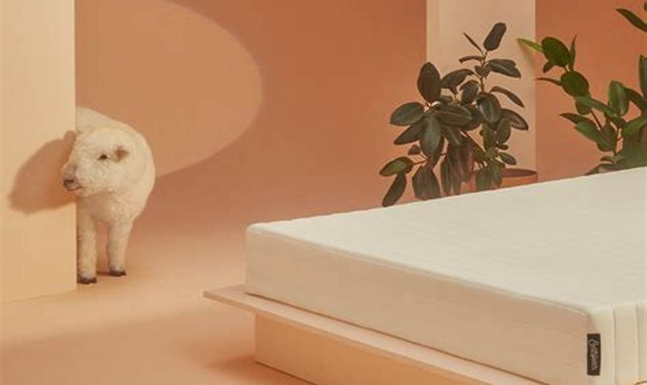 Eco-Friendly Earth Foam Mattress: Sleep Sustainably Organic & Natural Mattress Buyer’s Guide: Non-Toxic Sleep Solutions Eco-Friendly Earth Foam Mattress: Sleep Sustainably | Organic & Natural Mattress Buyer’s Guide: Non-Toxic Sleep Solutions