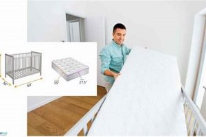 Best Cot Size Mattress [Guide] for Perfect Fit! | Organic & Natural Mattress Buyer’s Guide: Non-Toxic Sleep Solutions