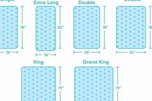 Euro Double Size: Perfect Mattress Size [Guide] | Organic & Natural Mattress Buyer’s Guide: Non-Toxic Sleep Solutions