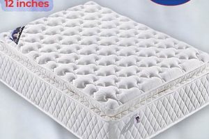 Best Orthopedic Mattress Queen Size: Comfort Guide Organic & Natural Mattress Buyer’s Guide: Non-Toxic Sleep Solutions Best Orthopedic Mattress Queen Size: Comfort Guide | Organic & Natural Mattress Buyer’s Guide: Non-Toxic Sleep Solutions