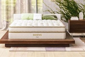 Queen Size: How Much Does a Mattress Cost? Price Guide Organic & Natural Mattress Buyer’s Guide: Non-Toxic Sleep Solutions Queen Size: How Much Does a Mattress Cost? Price Guide | Organic & Natural Mattress Buyer’s Guide: Non-Toxic Sleep Solutions