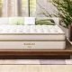 Queen Size: How Much Does a Mattress Cost? Price Guide | Organic & Natural Mattress Buyer’s Guide: Non-Toxic Sleep Solutions