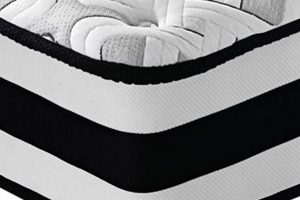 Best Spring or Foam Mattress? Guide & Reviews Organic & Natural Mattress Buyer’s Guide: Non-Toxic Sleep Solutions Best Spring or Foam Mattress? Guide & Reviews | Organic & Natural Mattress Buyer’s Guide: Non-Toxic Sleep Solutions