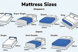 Single Mattress Size: What Is It? + Buying Guide Organic & Natural Mattress Buyer’s Guide: Non-Toxic Sleep Solutions Single Mattress Size: What Is It? + Buying Guide | Organic & Natural Mattress Buyer’s Guide: Non-Toxic Sleep Solutions