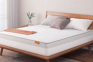 Best Cheap Queen Mattress Under $100? Size & Savings! | Organic & Natural Mattress Buyer’s Guide: Non-Toxic Sleep Solutions