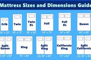 52x72 Mattress: What Size Bed Is That? Find Your Fit! | Organic & Natural Mattress Buyer’s Guide: Non-Toxic Sleep Solutions