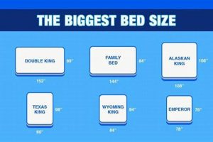 Ultimate Largest Mattress Size Guide: Is Bigger Better? | Organic & Natural Mattress Buyer’s Guide: Non-Toxic Sleep Solutions