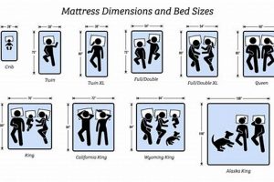 US Mattress Sizes Guide: Find Your Perfect Bed Size | Organic & Natural Mattress Buyer’s Guide: Non-Toxic Sleep Solutions