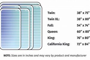 Mattress Size Comparison: Find the Right Bed Size Organic & Natural Mattress Buyer’s Guide: Non-Toxic Sleep Solutions Mattress Size Comparison: Find the Right Bed Size | Organic & Natural Mattress Buyer’s Guide: Non-Toxic Sleep Solutions