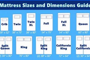 Guide to 78x80 Mattress Size: Find Your Perfect Fit! Organic & Natural Mattress Buyer’s Guide: Non-Toxic Sleep Solutions Guide to 78x80 Mattress Size: Find Your Perfect Fit! | Organic & Natural Mattress Buyer’s Guide: Non-Toxic Sleep Solutions