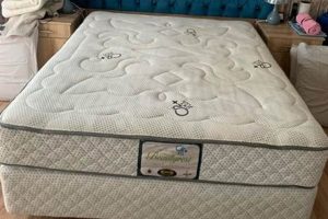 Best Queen Size Simmons Mattress: [Year] Review + Guide | Organic & Natural Mattress Buyer’s Guide: Non-Toxic Sleep Solutions