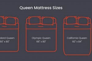 What's a California Queen Mattress Size? Guide + Dimensions Organic & Natural Mattress Buyer’s Guide: Non-Toxic Sleep Solutions What's a California Queen Mattress Size? Guide + Dimensions | Organic & Natural Mattress Buyer’s Guide: Non-Toxic Sleep Solutions