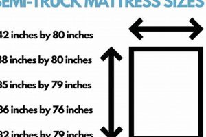 Semi Truck Mattress Size Guide: Dimensions & Comfort Organic & Natural Mattress Buyer’s Guide: Non-Toxic Sleep Solutions Semi Truck Mattress Size Guide: Dimensions & Comfort | Organic & Natural Mattress Buyer’s Guide: Non-Toxic Sleep Solutions