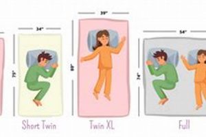 Best Kids Mattress Sizes: Guide + Dimensions | Organic & Natural Mattress Buyer’s Guide: Non-Toxic Sleep Solutions