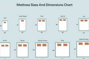 39 x 80 Mattress Size: Find Your Perfect XL Twin Bed! | Organic & Natural Mattress Buyer’s Guide: Non-Toxic Sleep Solutions