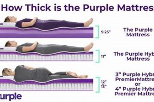 Guide to Purple Mattress Sizes: Find Your Perfect Fit Organic & Natural Mattress Buyer’s Guide: Non-Toxic Sleep Solutions Guide to Purple Mattress Sizes: Find Your Perfect Fit | Organic & Natural Mattress Buyer’s Guide: Non-Toxic Sleep Solutions