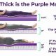 Guide to Purple Mattress Sizes: Find Your Perfect Fit | Organic & Natural Mattress Buyer’s Guide: Non-Toxic Sleep Solutions