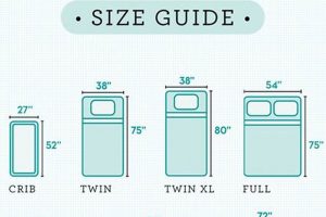 Bed Size Basics: How to Measure a Mattress Size Right! | Organic & Natural Mattress Buyer’s Guide: Non-Toxic Sleep Solutions