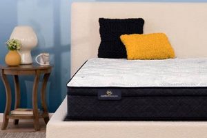 Best Serta Queen Mattress: Size & Comfort! | Organic & Natural Mattress Buyer’s Guide: Non-Toxic Sleep Solutions