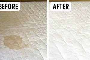 Clean It! How to Clean Sweat Stains From Mattress (Easy) Safem Fabrication - Precision Engineering & Custom Manufacturing Solutions Clean It! How to Clean Sweat Stains From Mattress (Easy) | Safem Fabrication - Precision Engineering & Custom Manufacturing Solutions