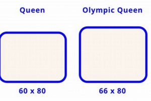 Why an Olympic Queen Mattress Size is Best? Organic & Natural Mattress Buyer’s Guide: Non-Toxic Sleep Solutions Why an Olympic Queen Mattress Size is Best? | Organic & Natural Mattress Buyer’s Guide: Non-Toxic Sleep Solutions