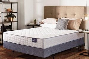 Big Lots Queen Mattress: Your Size, Your Savings! | Organic & Natural Mattress Buyer’s Guide: Non-Toxic Sleep Solutions