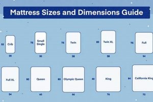 3/4 Size Mattress Guide: Is This Bed Right For You? | Organic & Natural Mattress Buyer’s Guide: Non-Toxic Sleep Solutions