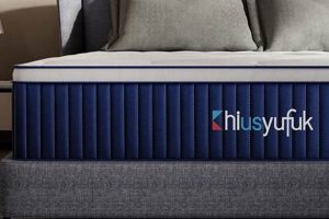 Unboxed Bliss: Queen Size Mattress in a Bag - Comfort! | Organic & Natural Mattress Buyer’s Guide: Non-Toxic Sleep Solutions