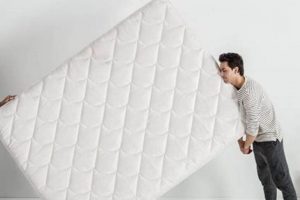 Queen Mattress Weight: How Much Does Size Matter? | Organic & Natural Mattress Buyer’s Guide: Non-Toxic Sleep Solutions