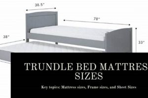 Buy the Best Trundle Mattress Size? Find Your Perfect Size! | Organic & Natural Mattress Buyer’s Guide: Non-Toxic Sleep Solutions