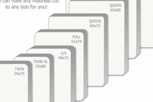 Short Queen Size: Compact Mattress Dimensions Guide | Organic & Natural Mattress Buyer’s Guide: Non-Toxic Sleep Solutions