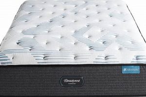 Beautyrest Queen Size Mattress: Your Comfort Guide! | Organic & Natural Mattress Buyer’s Guide: Non-Toxic Sleep Solutions