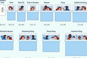 Mattress Size Guide: Find the Perfect Difference in Mattress Sizes! | Organic & Natural Mattress Buyer’s Guide: Non-Toxic Sleep Solutions