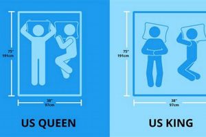 UK Queen Size Mattress: Dimensions, Guide & More | Organic & Natural Mattress Buyer’s Guide: Non-Toxic Sleep Solutions