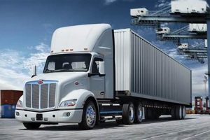 Peterbilt 579 Mattress Size: Your Comfort Guide | Organic & Natural Mattress Buyer’s Guide: Non-Toxic Sleep Solutions