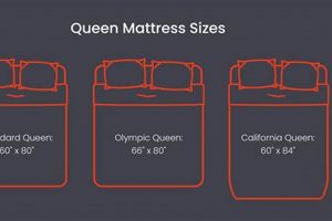 Max Size Queen Mattress: Comfort & Support Guide Organic & Natural Mattress Buyer’s Guide: Non-Toxic Sleep Solutions Max Size Queen Mattress: Comfort & Support Guide | Organic & Natural Mattress Buyer’s Guide: Non-Toxic Sleep Solutions