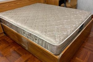 Best Simmons Queen Size Mattress [Guide & Reviews] | Organic & Natural Mattress Buyer’s Guide: Non-Toxic Sleep Solutions