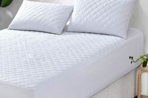 Best Cotton Mattress Protector Queen: Sleep Soundly! Organic & Natural Mattress Buyer’s Guide: Non-Toxic Sleep Solutions Best Cotton Mattress Protector Queen: Sleep Soundly! | Organic & Natural Mattress Buyer’s Guide: Non-Toxic Sleep Solutions
