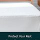 Best Mattress Protector for Tuft & Needle Beds: Premium Protection | Organic & Natural Mattress Buyer’s Guide: Non-Toxic Sleep Solutions