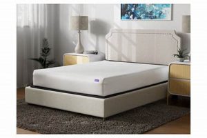 Best Sleepy's Signature Total Defense Mattress Protector [Review] | Organic & Natural Mattress Buyer’s Guide: Non-Toxic Sleep Solutions